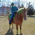 IMG_9109_edited-1