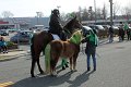 IMG_9143_edited-1