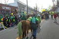 IMG_9167_edited-1