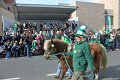 IMG_9190_edited-1