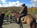 IMG_1584_edited-1