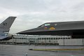 IMG_3329_edited-1