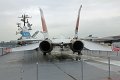 IMG_3333_edited-1
