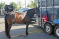 IMG_0353_edited-1