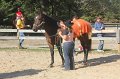 IMG_7507