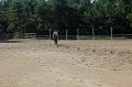 IMG_7974
