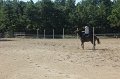 IMG_8000