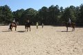 IMG_8029