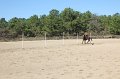 IMG_8040
