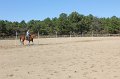 IMG_8078