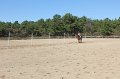 IMG_8149
