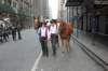 img_9838_edited1_small.jpg