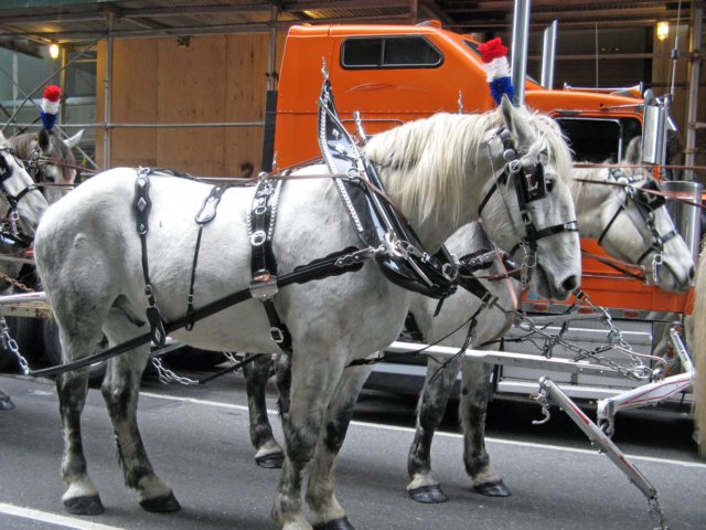 macysthanksgivingdayparade127_edited1.jpg