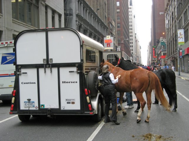 macysthanksgivingdayparade142_edited1.jpg