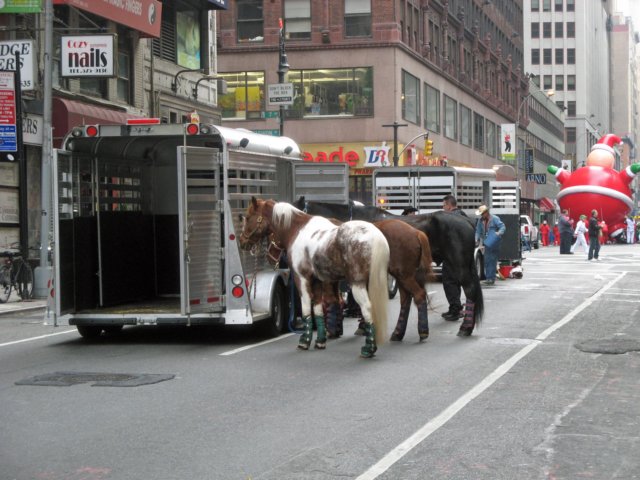 macysthanksgivingdayparade145_edited1.jpg