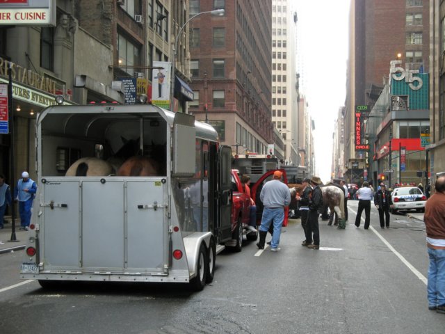 macysthanksgivingdayparade157_edited1.jpg