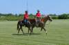 img_1502_edited1_small.jpg