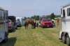 img_1887_edited1_small.jpg