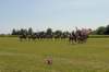 img_1941_edited1_small.jpg