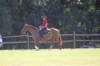 img_6208_edited1_small.jpg