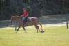img_6236_edited1_small.jpg
