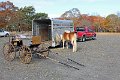 IMG_1211_edited-1