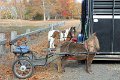 IMG_1212_edited-1