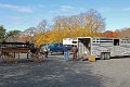IMG_1218_edited-1
