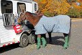 IMG_1221_edited-1