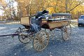 IMG_1223_edited-1