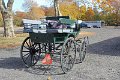 IMG_1224_edited-1