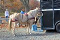 IMG_1227_edited-1