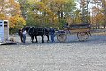 IMG_1231_edited-1