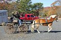 IMG_1248_edited-1