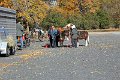 IMG_1254_edited-1