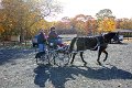 IMG_1267_edited-1