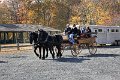 IMG_1269_edited-1