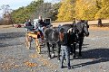 IMG_1276_edited-1