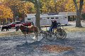IMG_1280_edited-1