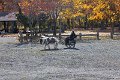 IMG_1281_edited-1