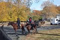 IMG_1285_edited-1