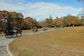IMG_1292_edited-1