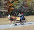 IMG_1293_edited-1