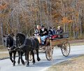 IMG_1297_edited-1