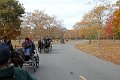 IMG_1303_edited-1