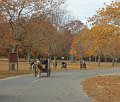 IMG_1305_edited-1