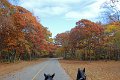 IMG_1311_edited-1