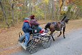 IMG_1313_edited-1