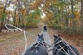 IMG_1314_edited-1