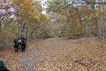 IMG_1315_edited-1
